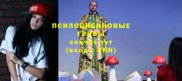 мдма Няндома