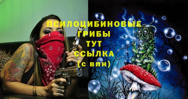 мдма Няндома