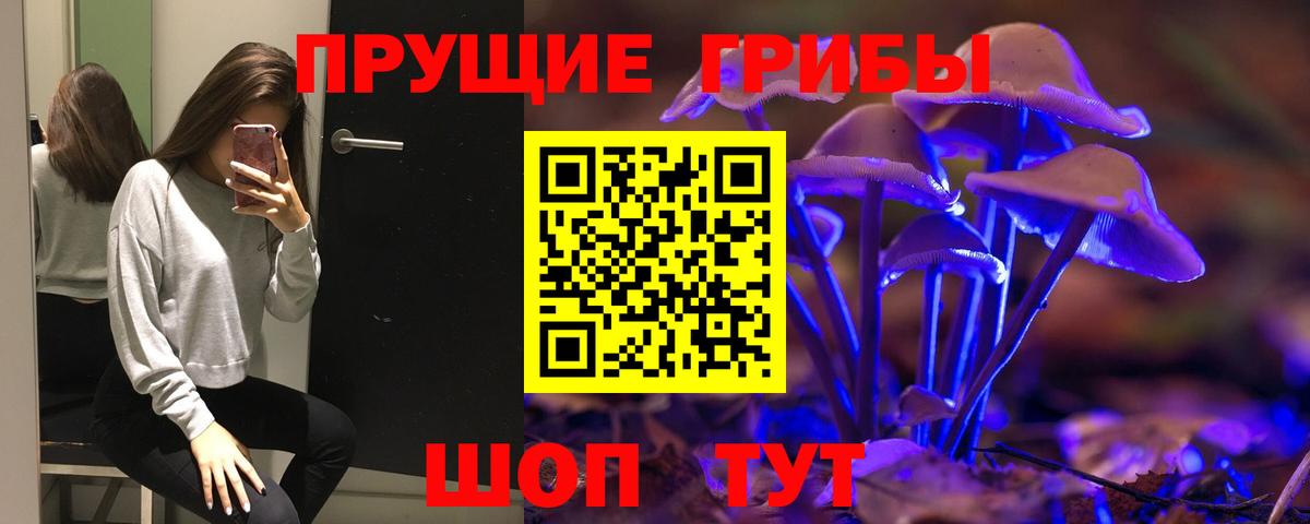 Галлюциногенные грибы Cubensis Кузнецк